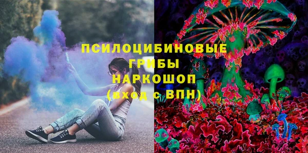 шишки Корсаков