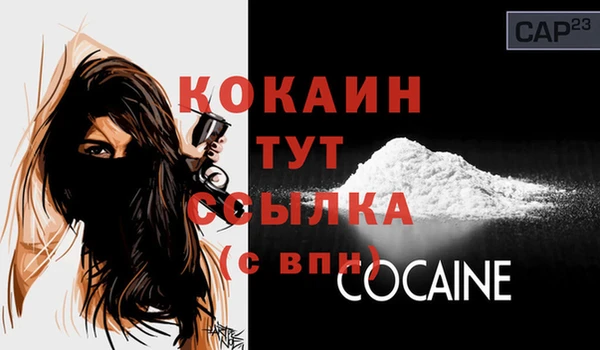 шишки Корсаков