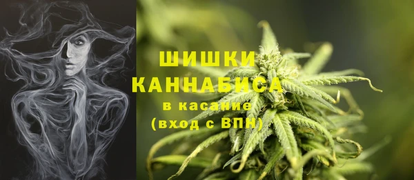 шишки Корсаков