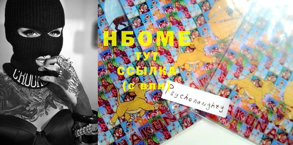 шишки Корсаков