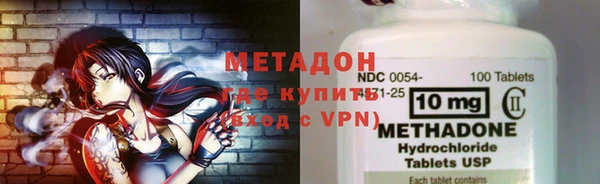 шишки Корсаков