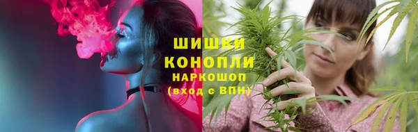 молекула духа Костерёво