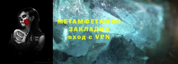 шишки Корсаков