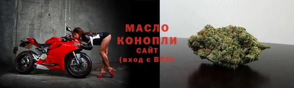 шишки Корсаков