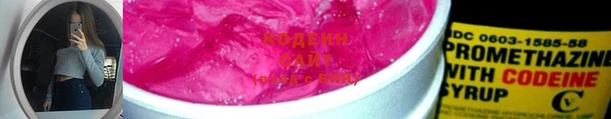 шишки Корсаков