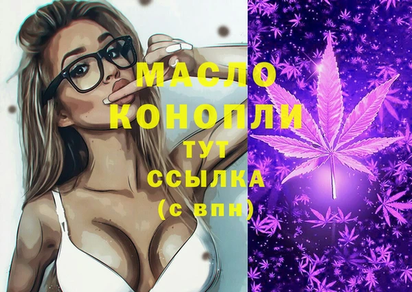 молекула духа Костерёво