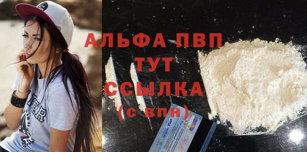 молекула духа Костерёво