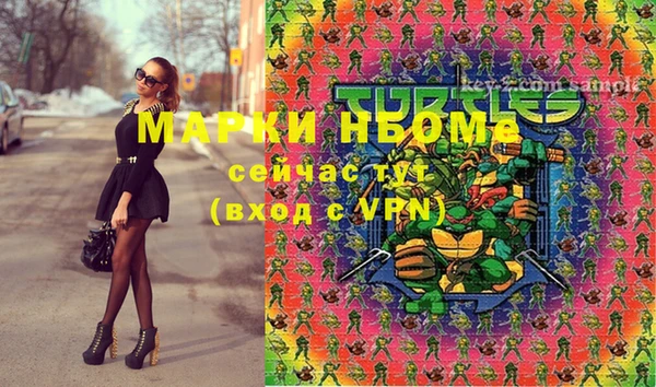 молекула духа Костерёво