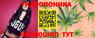 стафф Кулебаки