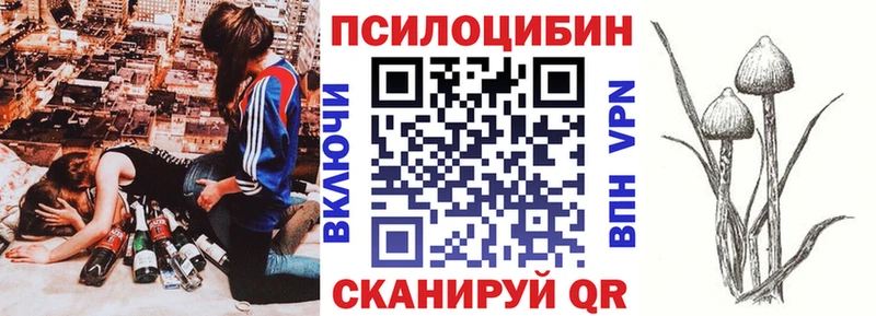 Галлюциногенные грибы мицелий Тверь