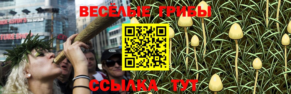 Тверь  Галлюциногенные грибы прущие грибы  Вход с VPN  Галлюциногенные грибы Magic Shrooms 