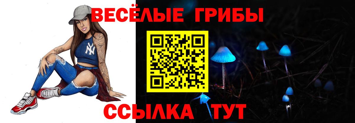 Галлюциногенные грибы прущие грибы  Галлюциногенные грибы MAGIC MUSHROOMS  Тверь 